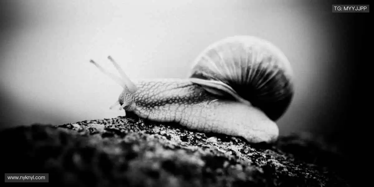 🎨潮流设计,让运动成为时尚标签!👕